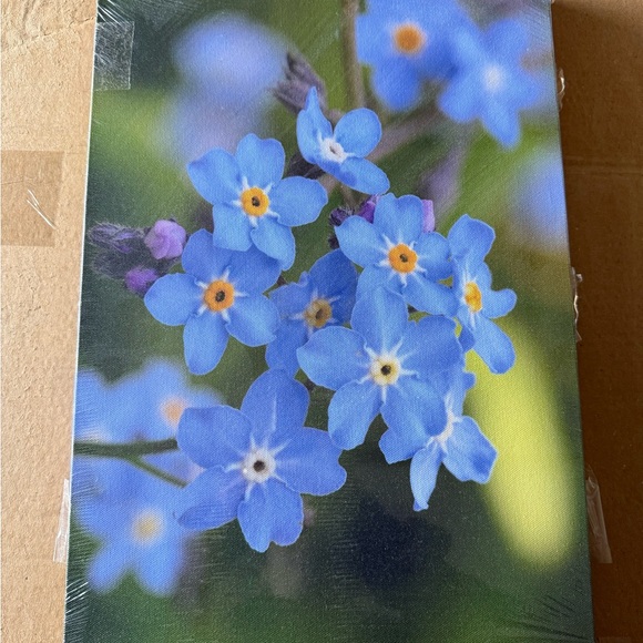 Forget Me Not by Lior2 Painting - Picture 2 of 3